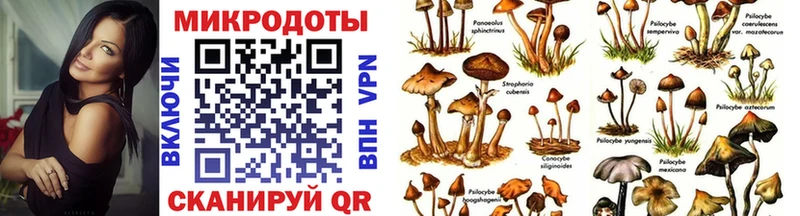 как найти наркотики  Краснослободск  Псилоцибиновые грибы Psilocybe 